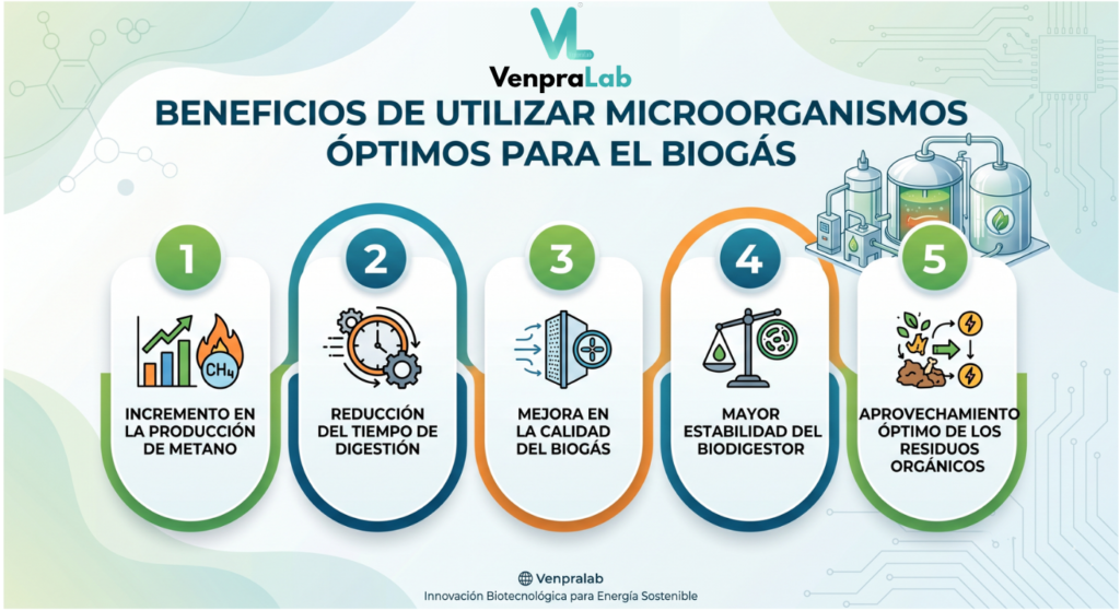 Microorganismo Biogas