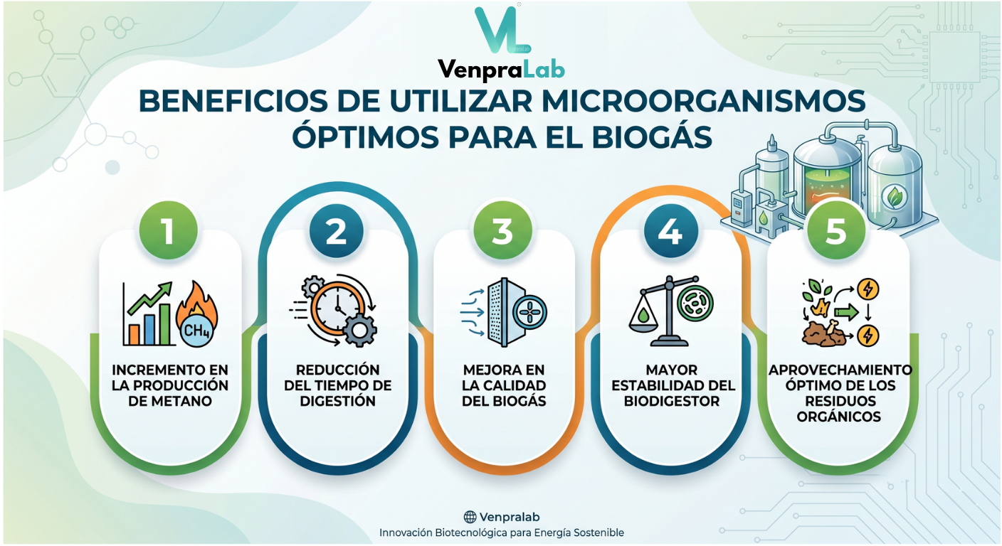 Microorganismo Biogas