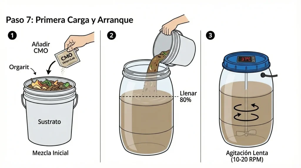 Como funciona un biodigestor casero