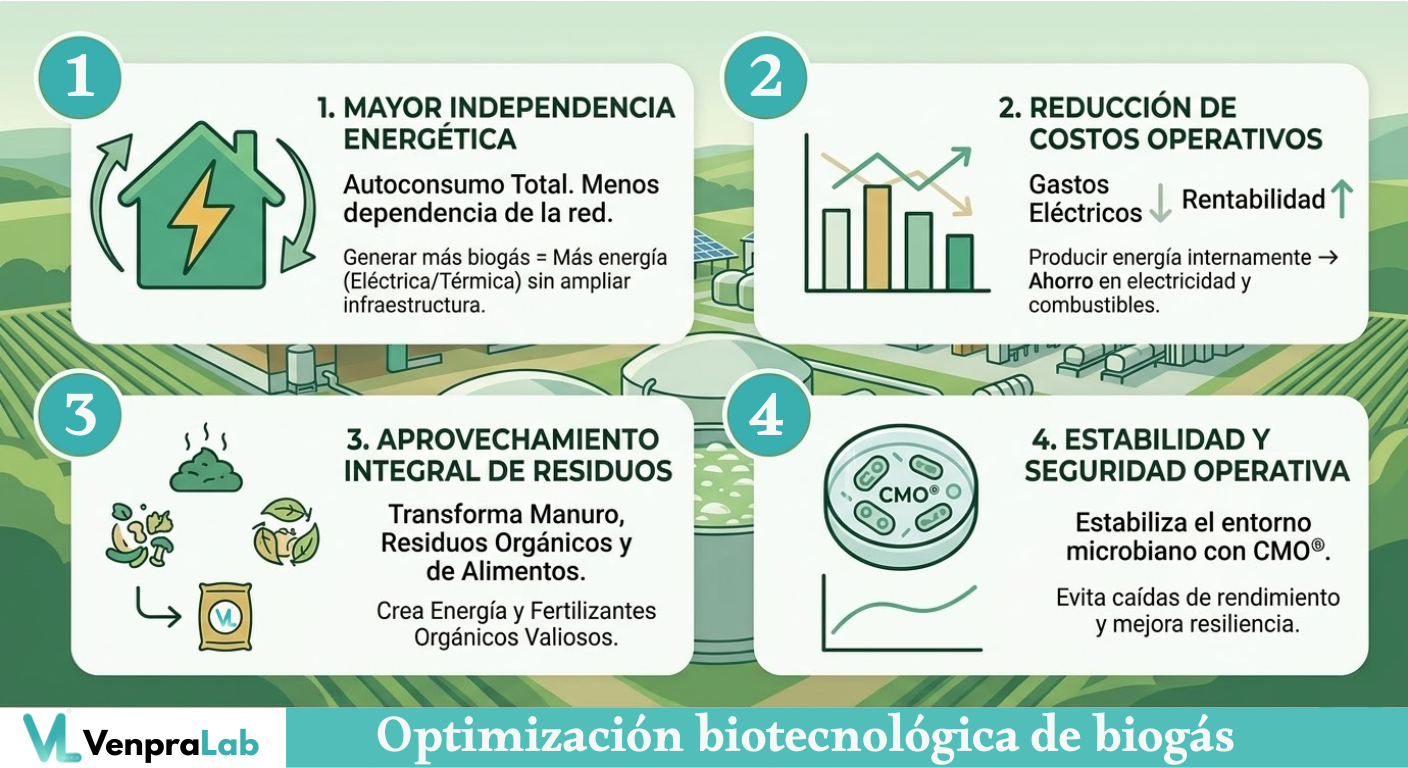 Campo Latinoamericano suficiencia energetica